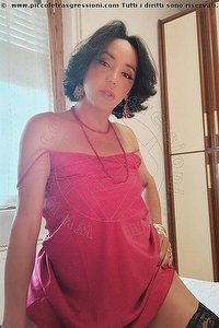 BRUNA trans escort Pordenone