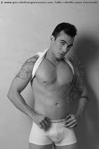 RYAN TORINO<br><span class=