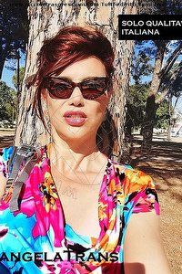 ANGELA ITALIANA GALLARATE<br><span class=