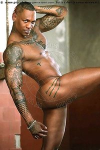SEBASTIAN XXXL MILANO<br><span class=
