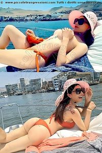trans escort jade cinisello balsamo foto 4