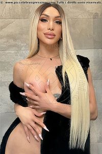 ANGEL BUNNY trans escort Pistoia