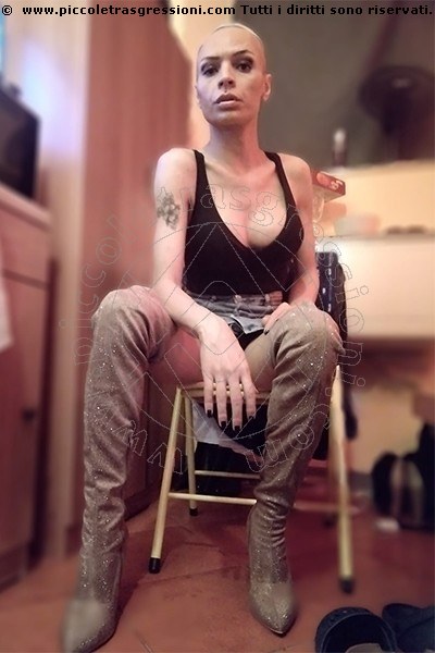 Trans Escort Italo Argentina Bionda Massagiatrice 3339004687 Incontri Piacenza Trans Escort Italo Argentina Bionda Massagiatrice 3339004687 Incontri Piacenza