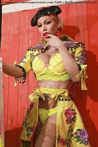 NINA LA DIVINA trans escort Estero