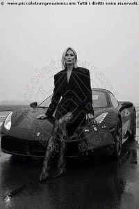 SASHA YSMITH trans escort Bergamo
