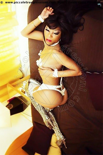 Trans Escort Kelly Fox 3274235199 Incontri Verona zona Nogara Trans Escort Kelly Fox 3274235199 Incontri Verona zona Nogara