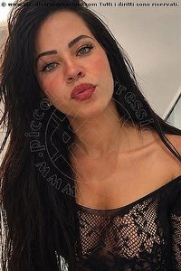 ALE trans Brescia