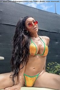 WANESSA ARMANI trans Massa Carrara