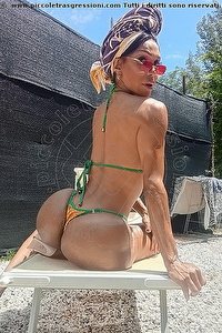 WANESSA ARMANI trans Massa Carrara