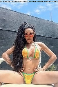 WANESSA ARMANI trans escort Massa Carrara