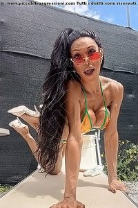 WANESSA ARMANI trans escort Massa Carrara