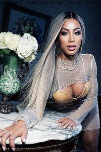 PAOLA AMORIM trans escort Estero