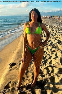 TAINÁ OLIVEIRA trans Prato