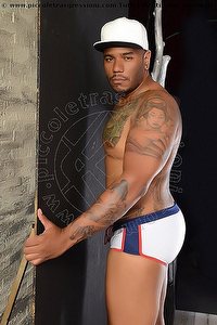 DANIEL XXL ROMA<br><span class=