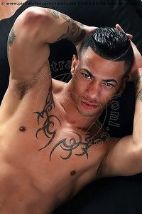 FELIPE CUBA REGGIO EMILIA<br><span class=
