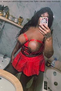 trans nycolli monza foto 1