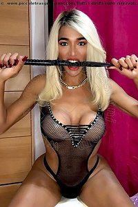 PADRONA MISS ANGEL BERGAMO<br><span class=