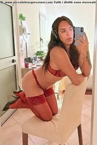 NINA trans Modena