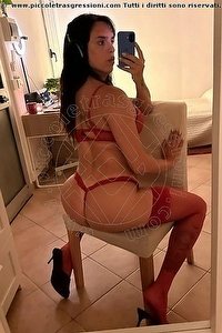 NINA trans Modena