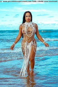 BRUNA CICARELLY trans escort Genova