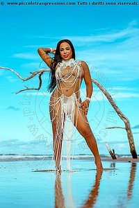 BRUNA CICARELLY trans escort Genova
