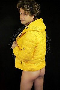 ANGELO ANCONA<br><span class=