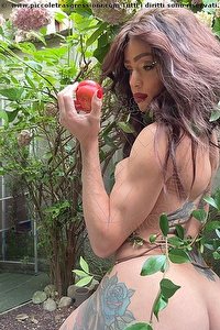FERNANDA AMBROSIO trans escort Milano