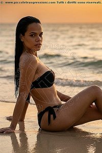 CAROLINA HOTT trans escort Vicenza