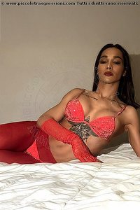 BELLA XXL trans escort Milano