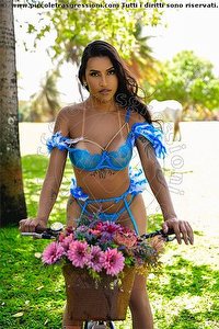 KATHY BARRETO trans Estero