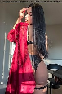 EIZA trans Roma