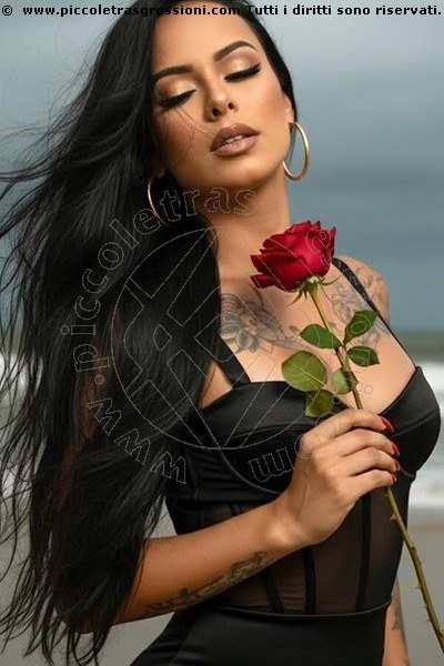 Trans Escort Priscilla Dotata 3476797955 Incontri Montecchio Maggiore Trans Escort Priscilla Dotata 3476797955 Incontri Montecchio Maggiore