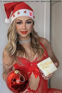  BELLISSIMA MISS DEA trans Bologna