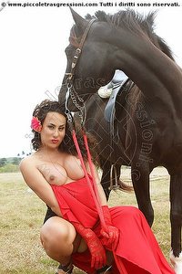  JESSICA SCHIZZO ITALIANA trans escort Siena