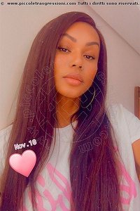  PAULA XXL trans Verona