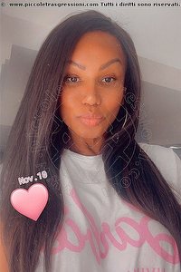  PAULA XXL trans Verona