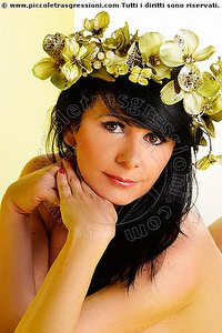  MARCELLA NAVAS trans Arezzo