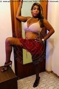 SASHA LODI 3286160636