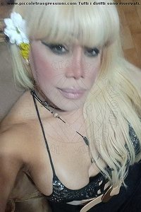  NICOLE VIP VENTURINY trans escort Milano