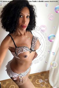  GISELLA EVANGELISTA trans escort Perugia