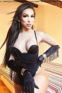  ANGEL BUNNY trans escort Rimini