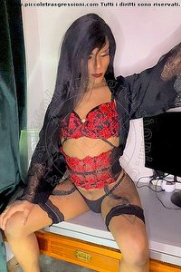  PAOLA trav escort Estero