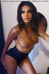  SAMANTHA GOLD trans escort Lucca