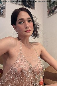 MAHALI LADYBOY AREZZO 3508585418