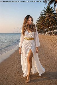 trans transex italiana bologna foto 1