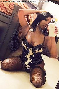  JENNIFER TS MIAMI trans escort Estero