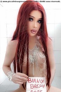 trans escort bianca occhiblu varese foto 5