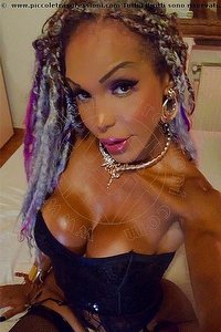  WANESSA ARMANI trans Rimini