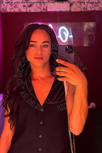 VICTORIA NEW BOLOGNA 3394337857