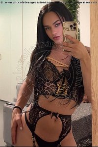  VICTORIA NEW trav Bologna